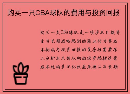 购买一只CBA球队的费用与投资回报