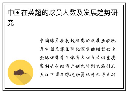 中国在英超的球员人数及发展趋势研究
